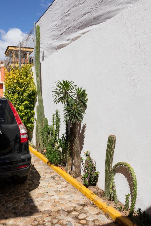 Appartamento Siento Oaxaca Esterno foto